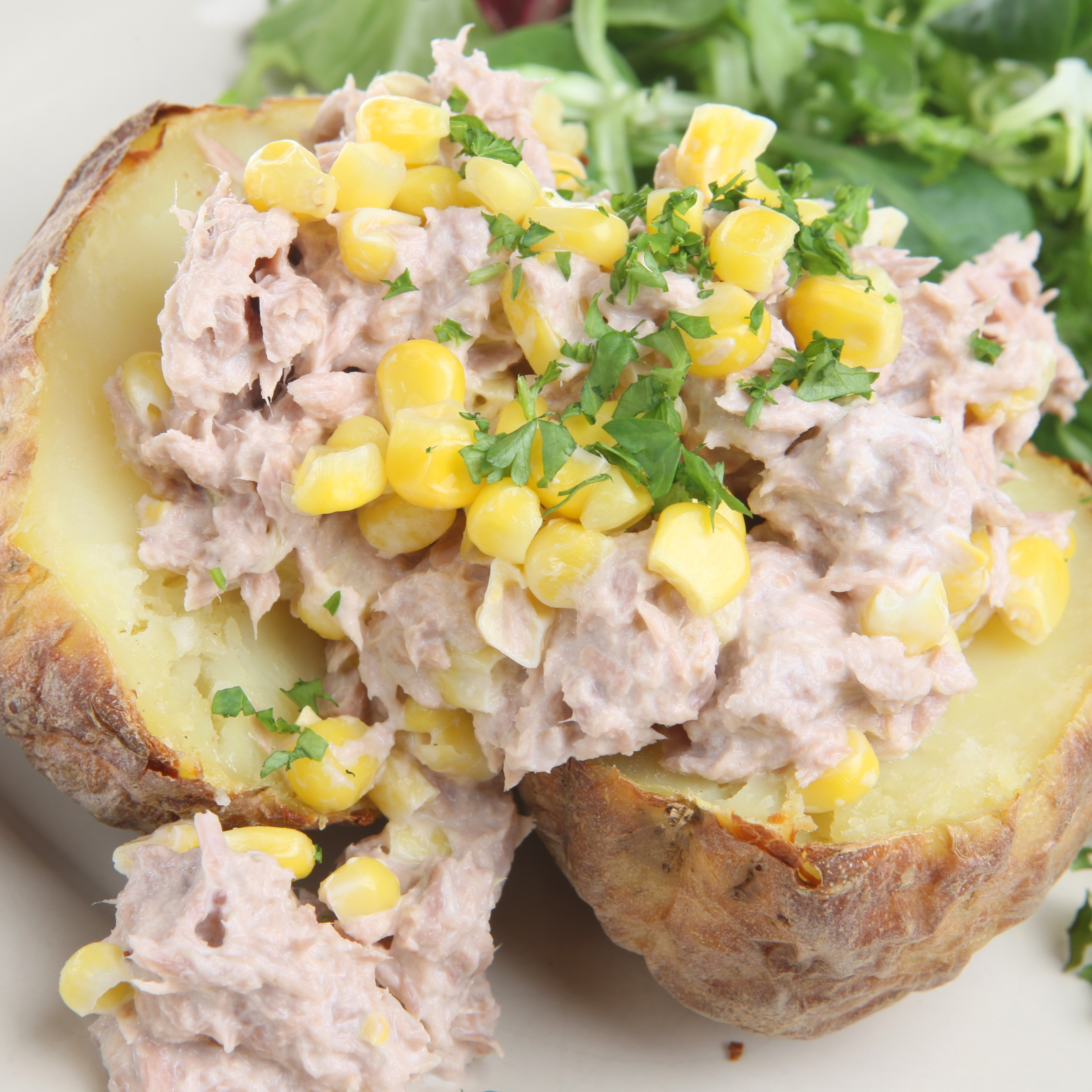 Mediterranean Tuna Mayo - Sample